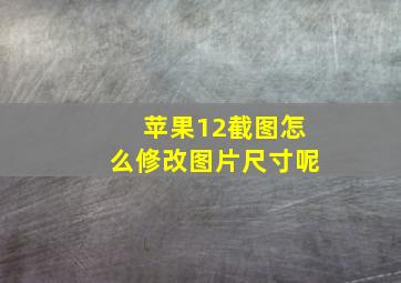 苹果12截图怎么修改图片尺寸呢