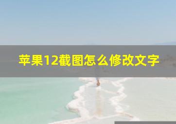 苹果12截图怎么修改文字