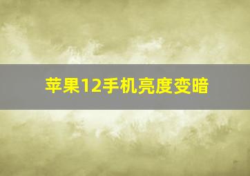 苹果12手机亮度变暗