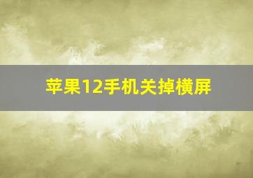 苹果12手机关掉横屏