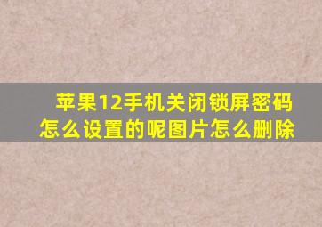 苹果12手机关闭锁屏密码怎么设置的呢图片怎么删除