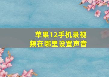 苹果12手机录视频在哪里设置声音