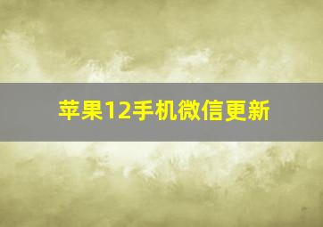 苹果12手机微信更新