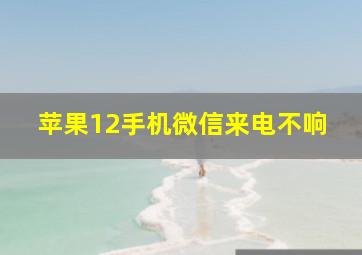 苹果12手机微信来电不响