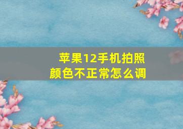 苹果12手机拍照颜色不正常怎么调