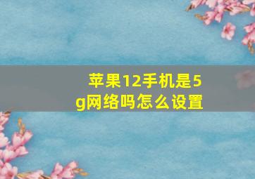 苹果12手机是5g网络吗怎么设置