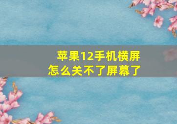 苹果12手机横屏怎么关不了屏幕了