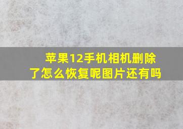 苹果12手机相机删除了怎么恢复呢图片还有吗