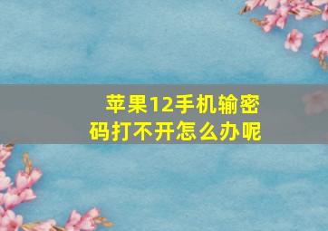 苹果12手机输密码打不开怎么办呢