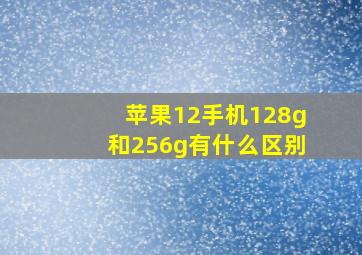 苹果12手机128g和256g有什么区别