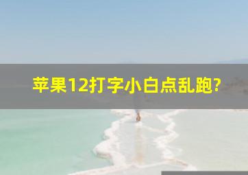 苹果12打字小白点乱跑?