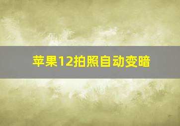 苹果12拍照自动变暗