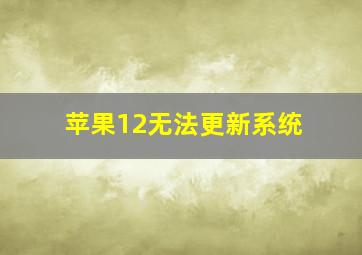 苹果12无法更新系统