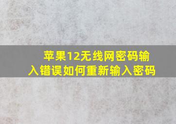 苹果12无线网密码输入错误如何重新输入密码