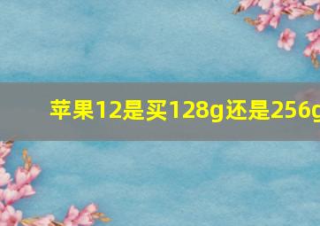 苹果12是买128g还是256g