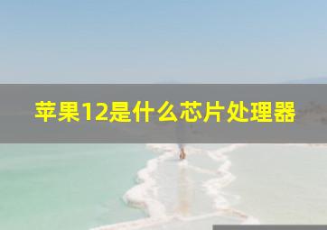 苹果12是什么芯片处理器