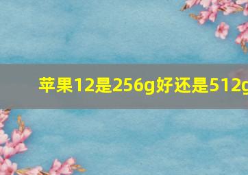 苹果12是256g好还是512g