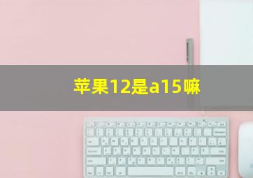 苹果12是a15嘛