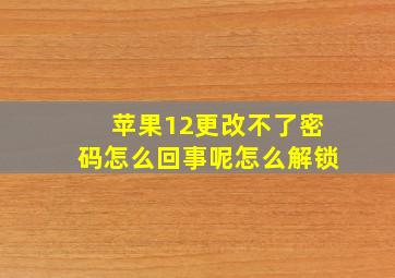 苹果12更改不了密码怎么回事呢怎么解锁