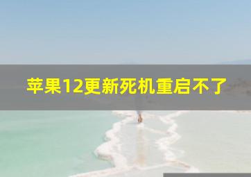 苹果12更新死机重启不了