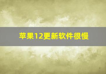 苹果12更新软件很慢