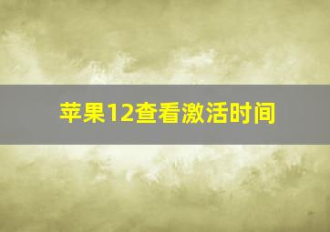 苹果12查看激活时间