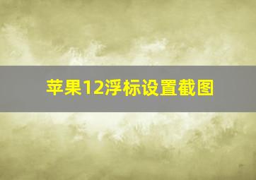 苹果12浮标设置截图