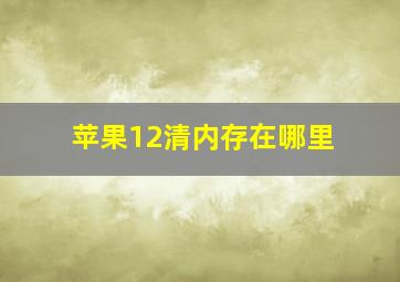 苹果12清内存在哪里