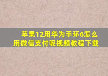 苹果12用华为手环6怎么用微信支付呢视频教程下载