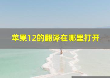 苹果12的翻译在哪里打开