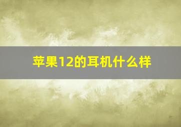 苹果12的耳机什么样