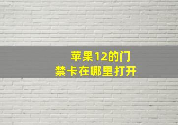 苹果12的门禁卡在哪里打开