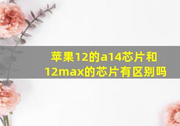 苹果12的a14芯片和12max的芯片有区别吗