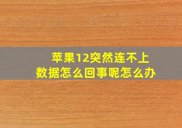 苹果12突然连不上数据怎么回事呢怎么办