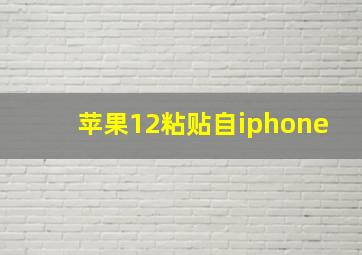 苹果12粘贴自iphone