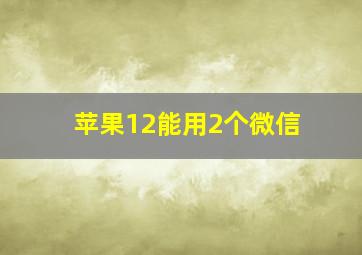 苹果12能用2个微信