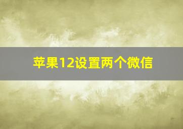 苹果12设置两个微信