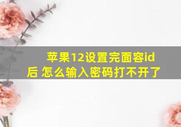 苹果12设置完面容id后 怎么输入密码打不开了