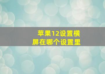 苹果12设置横屏在哪个设置里