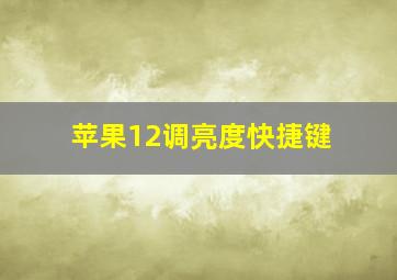 苹果12调亮度快捷键