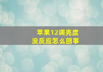 苹果12调亮度没反应怎么回事