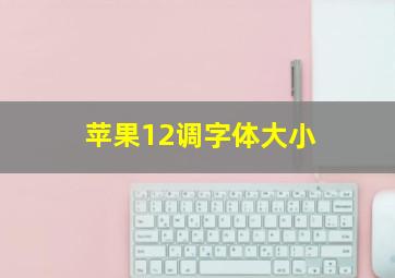 苹果12调字体大小