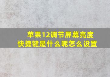 苹果12调节屏幕亮度快捷键是什么呢怎么设置