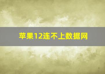 苹果12连不上数据网