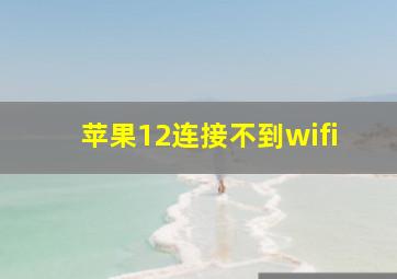 苹果12连接不到wifi