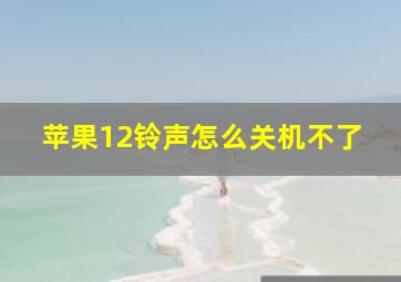 苹果12铃声怎么关机不了