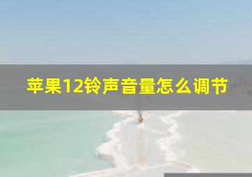 苹果12铃声音量怎么调节