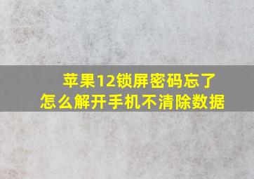 苹果12锁屏密码忘了怎么解开手机不清除数据