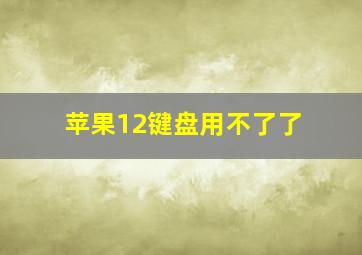 苹果12键盘用不了了