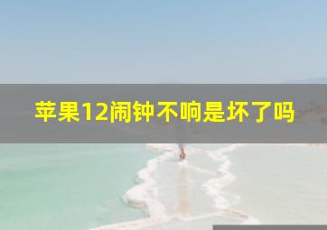 苹果12闹钟不响是坏了吗